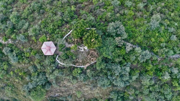Gazebo Sextavado Pequeno Em Um Monte Arborizado VpqL mNEYto