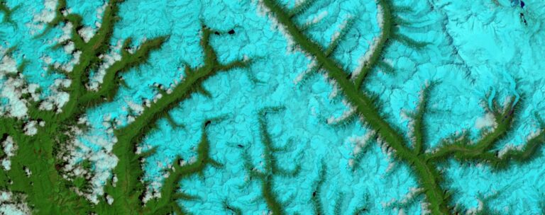 Vista via Satelite De Rios Ramificados E Terreno Verde hjmsC9bfzFY