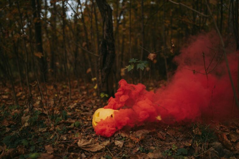 A mysterious forest setting with a Halloween pumpkin emitting colorful smoke.